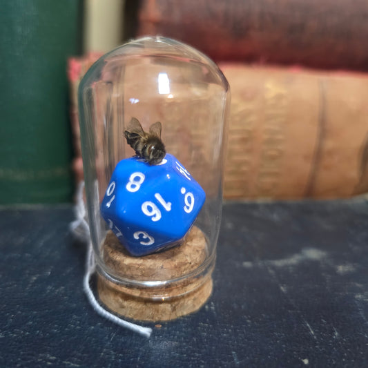 D&D Dice Bee Dome