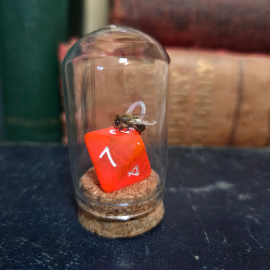 D&D Dice Bee Dome
