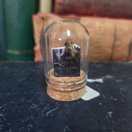 Book Bee Dome