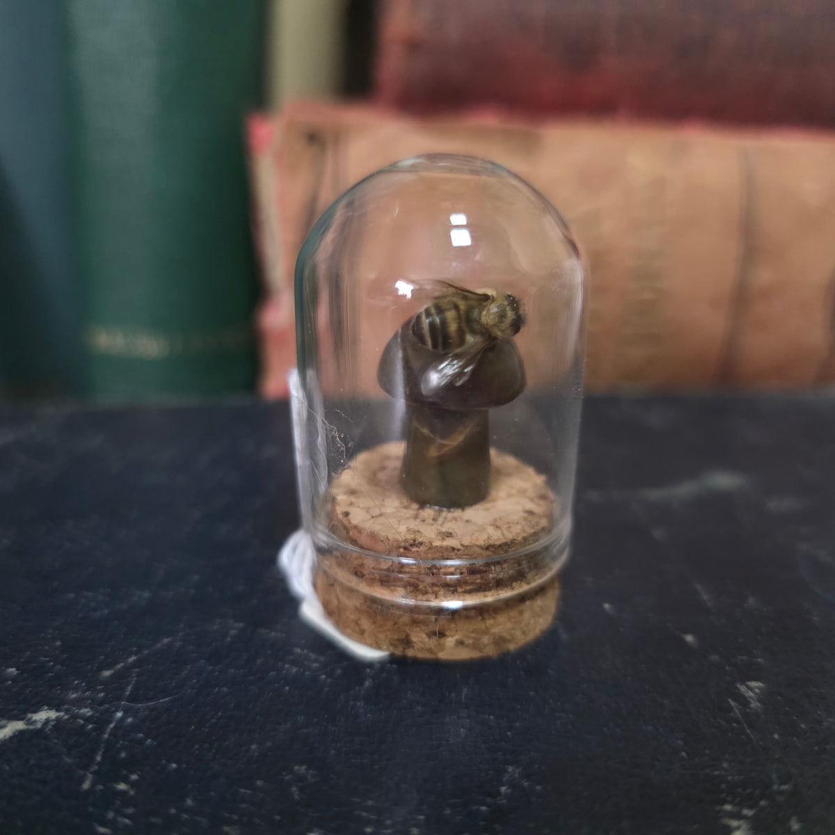 Crystal Mushroom Bee Dome