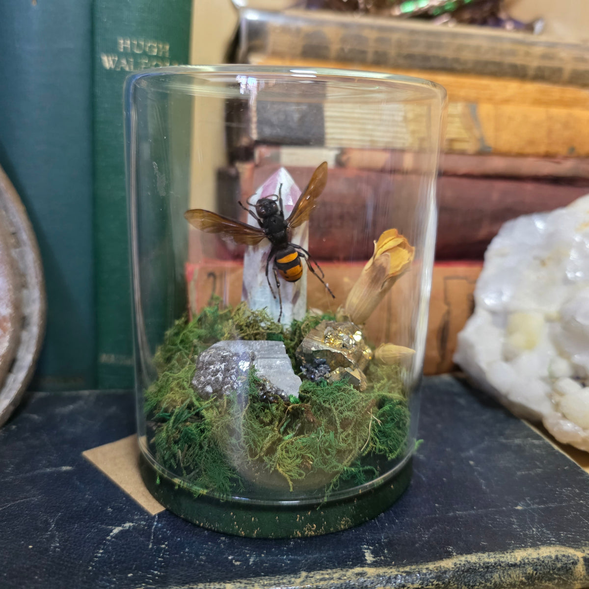 Wasp Jar