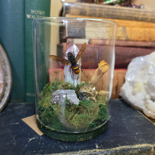 Wasp Jar