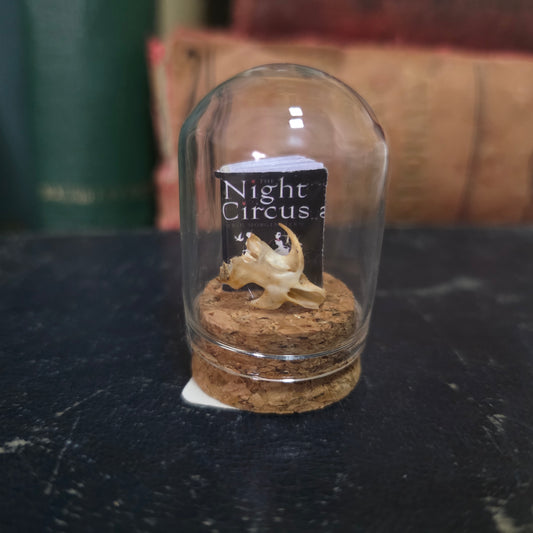 Book Mini Skull Dome