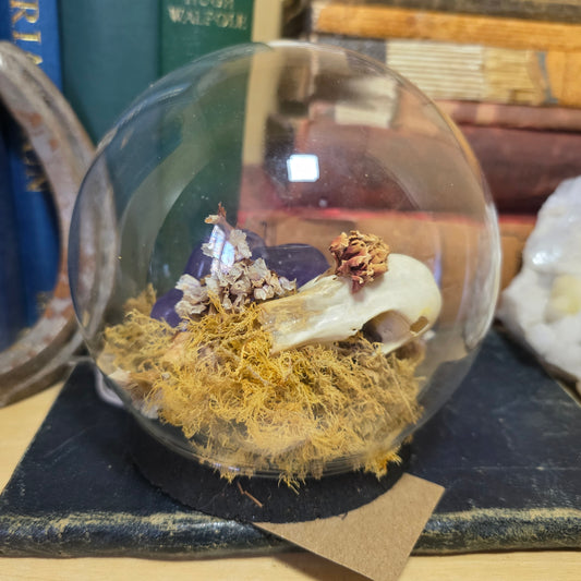 Partial Duck Skull Bubble Dome