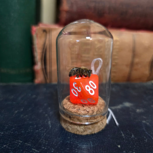 D&D Dice Bee Dome