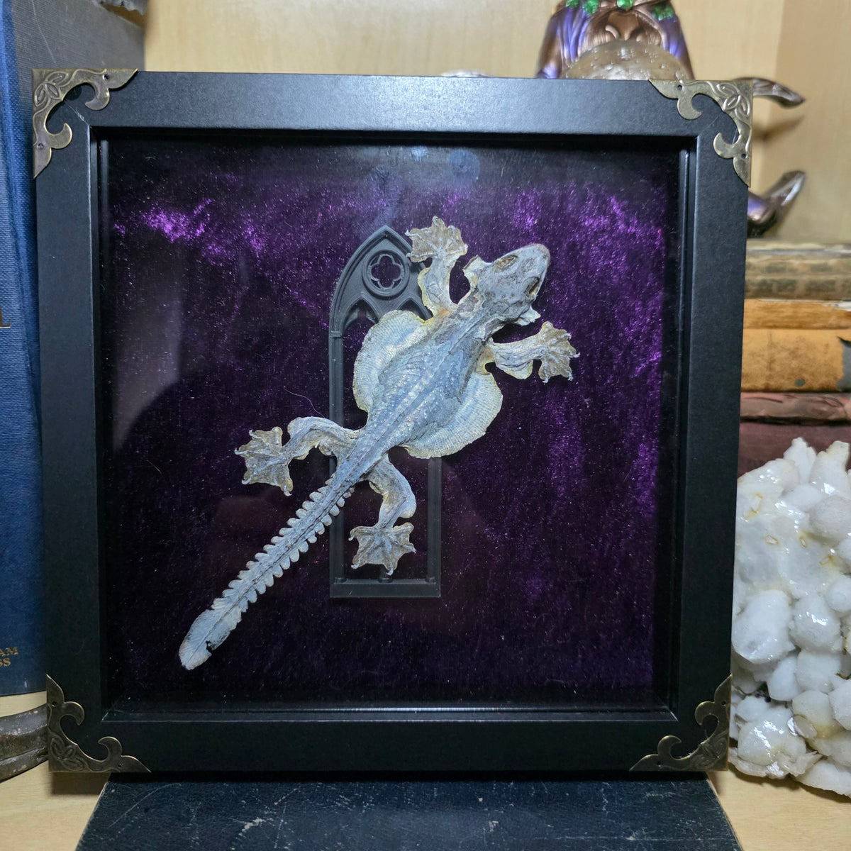 Lizard Deep Frame