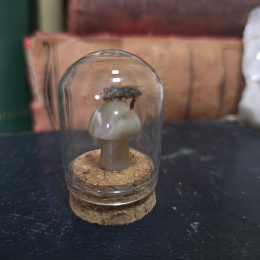 Crystal Mushroom Bee Dome