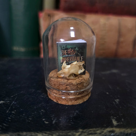 Book Mini Skull Dome