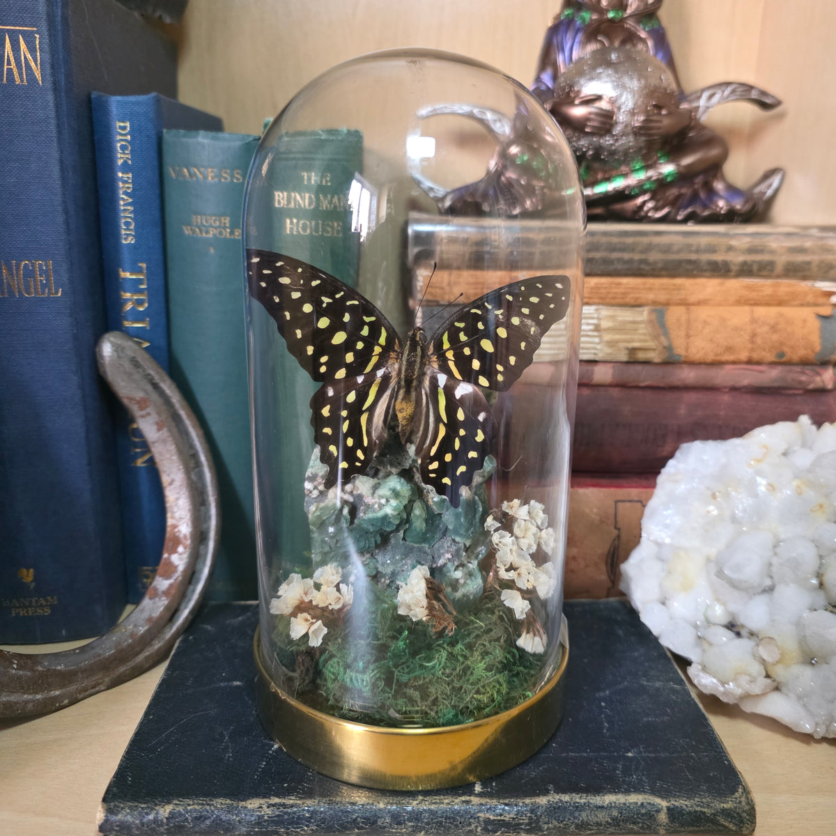 Butterfly Dome