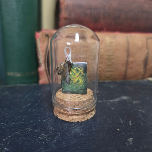 Book Bee Dome