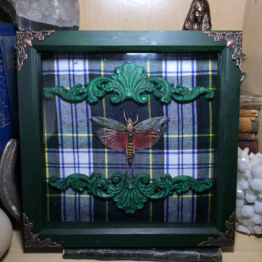 Grasshopper Deep Frame
