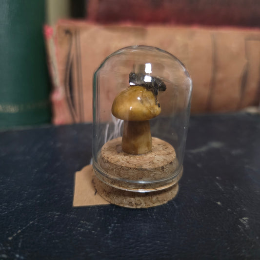 Crystal Mushroom Bee Dome