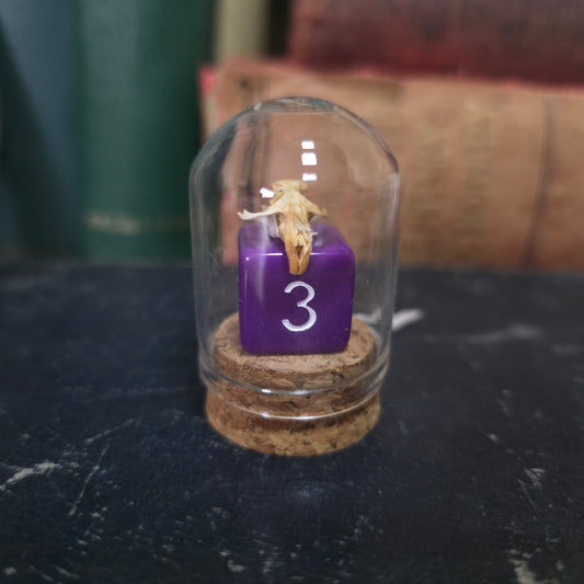 D&D Mini Skull Dome