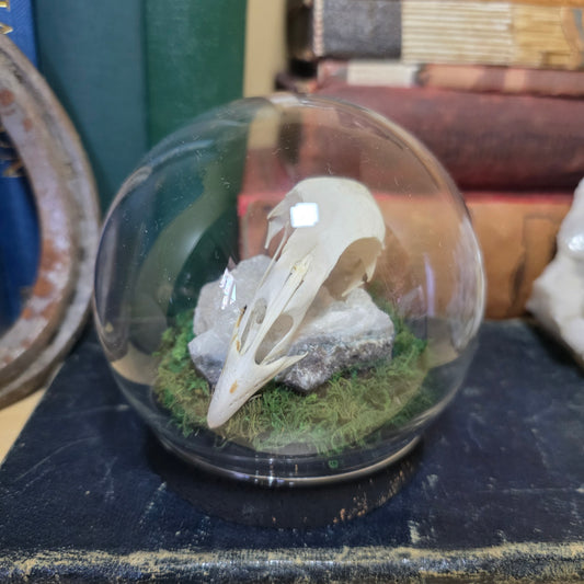 Grouse Skull Bubble Dome