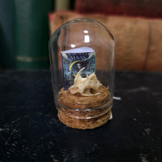 Book Mini Skull Dome
