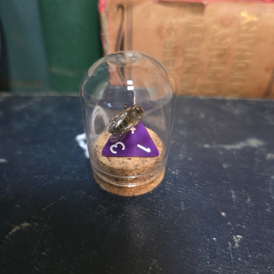 D&D Dice Bee Dome