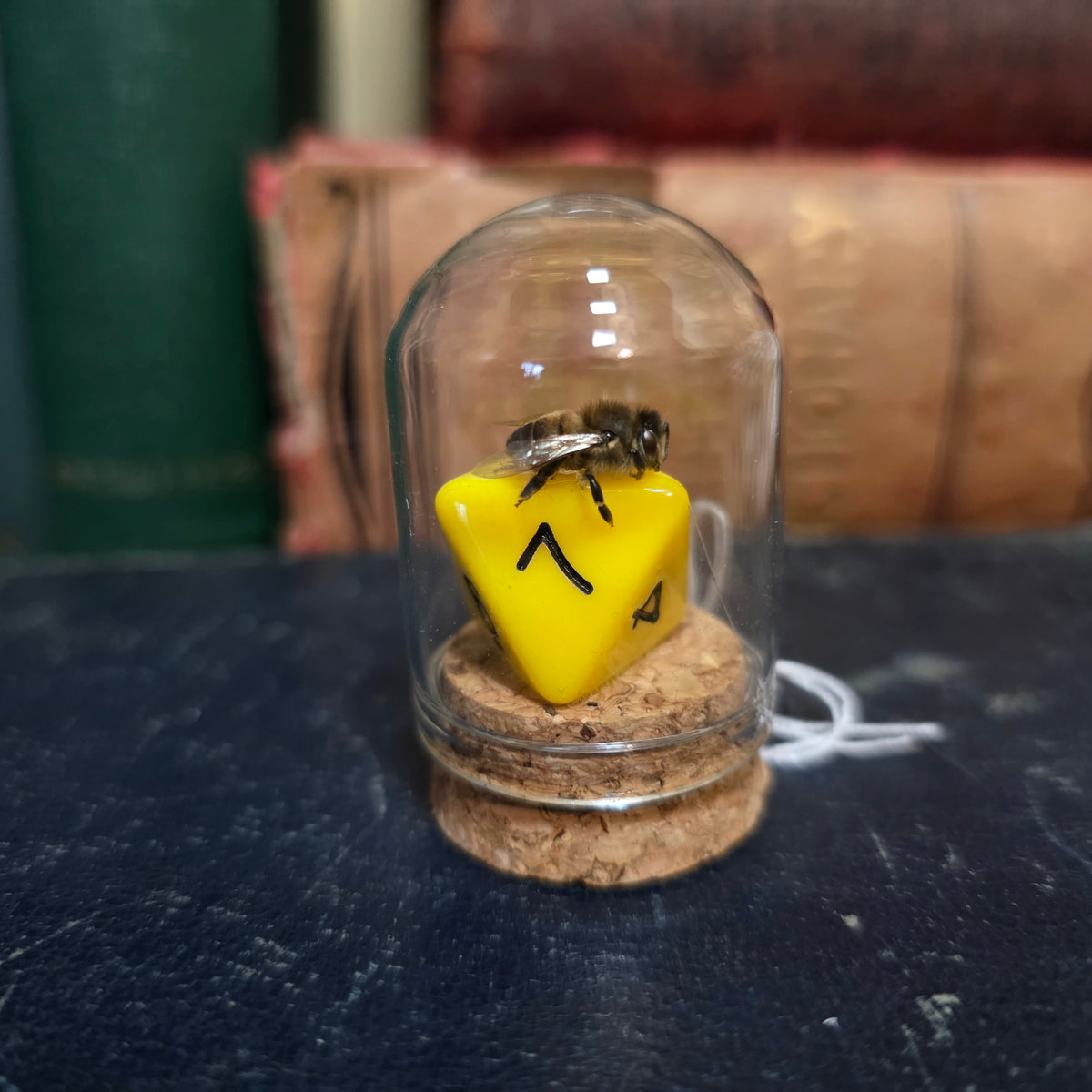 D&D Dice Bee Dome