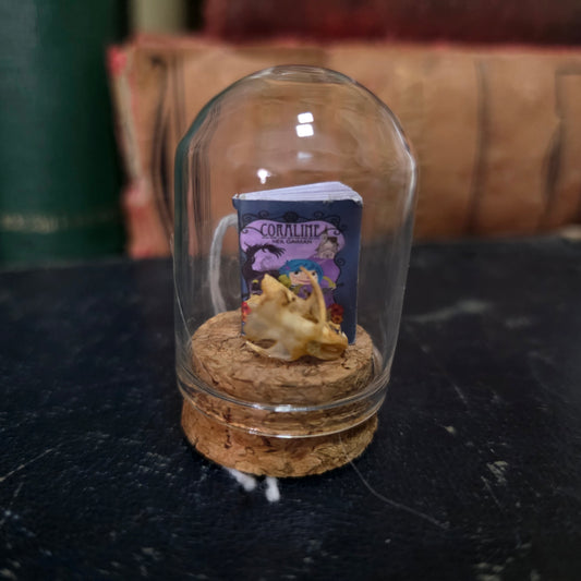 Book Mini Skull Dome