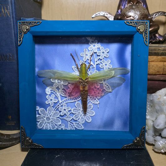 Grasshopper Deep Frame