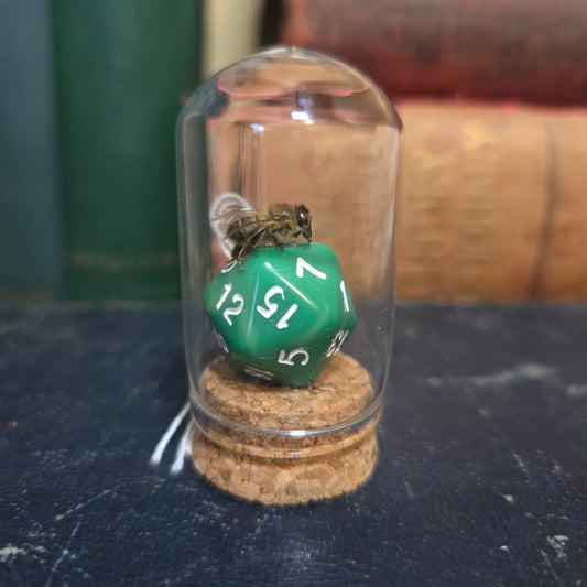 D&D Dice Bee Dome