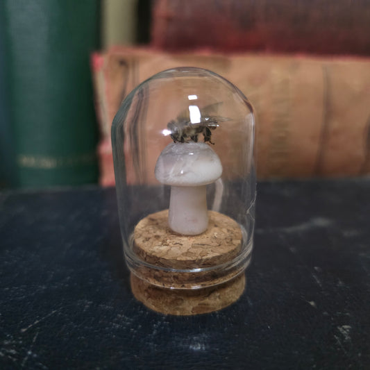 Crystal Mushroom Bee Dome