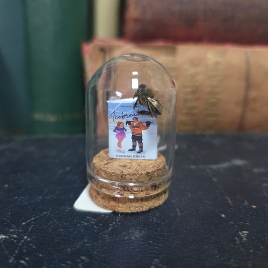 Book Bee Dome
