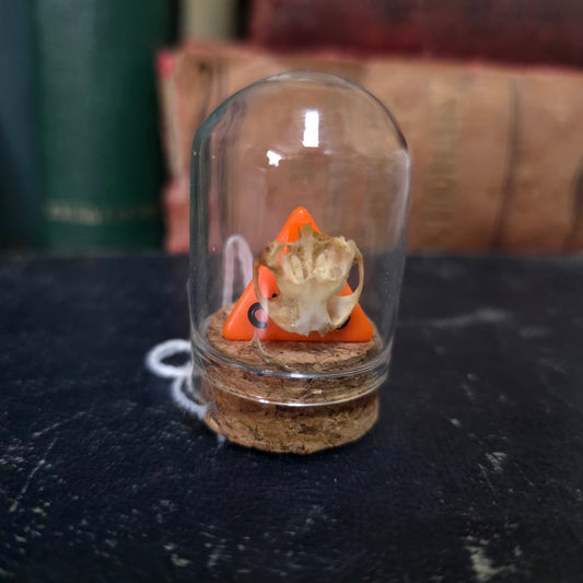 D&D Mini Skull Dome
