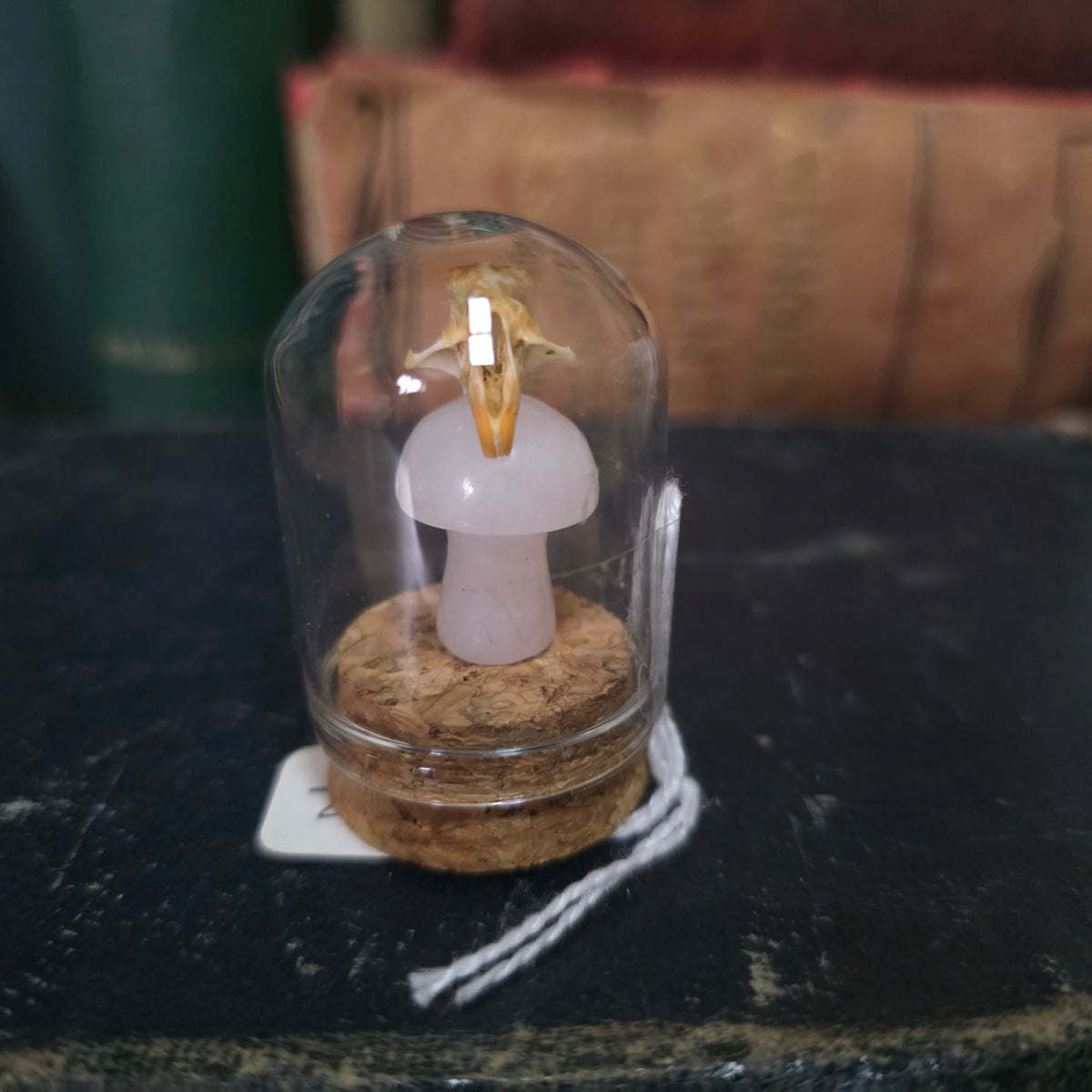 Crystal Mushroom Mini Skull Dome