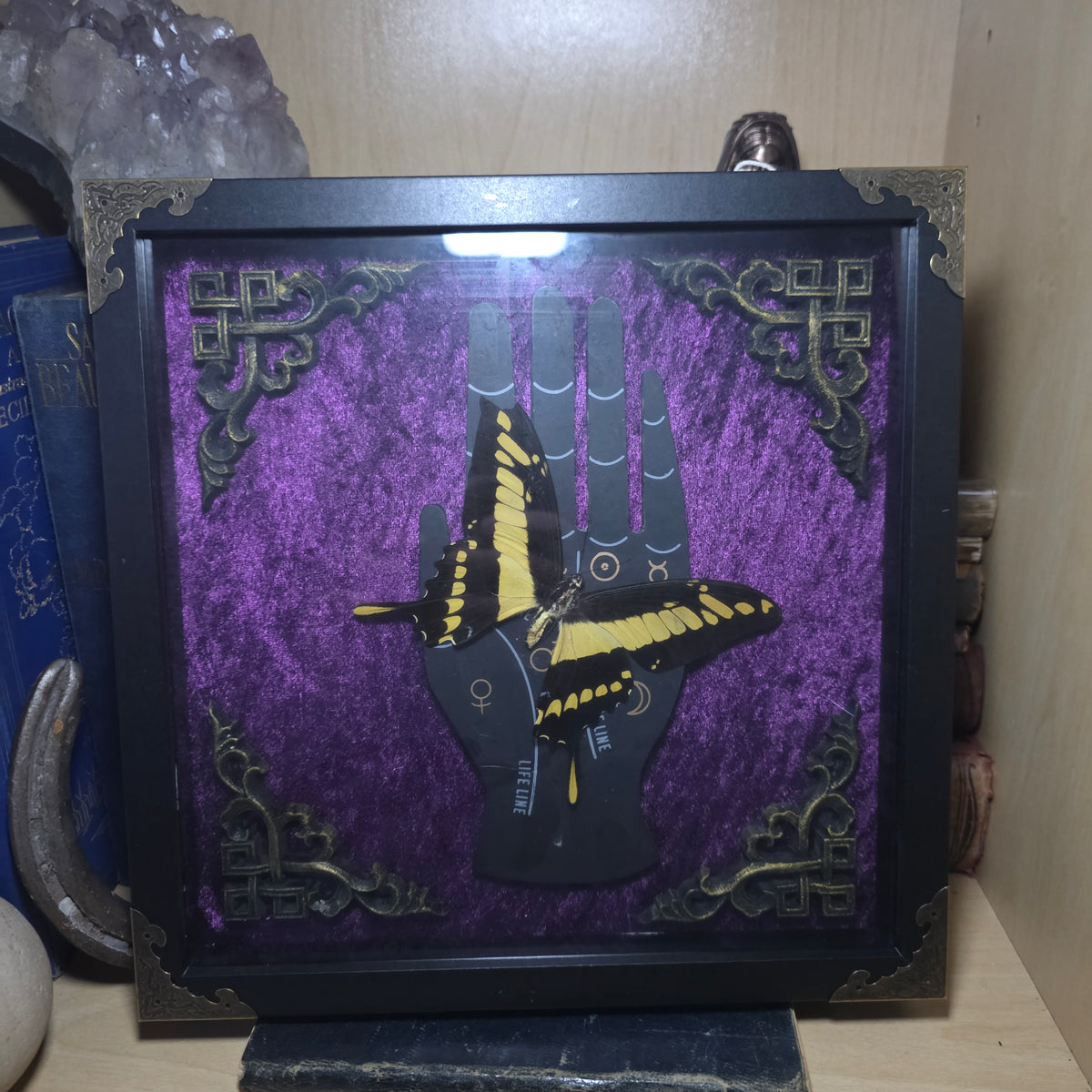 Swallowtail Deep Frame