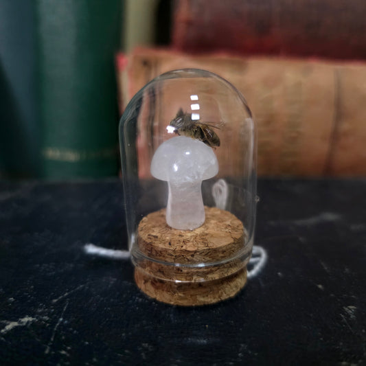Crystal Mushroom Bee Dome