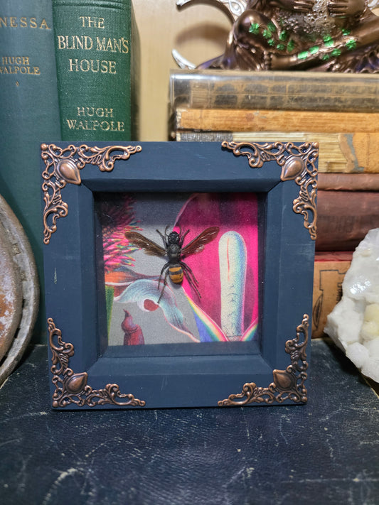 Wasp Deep Frame