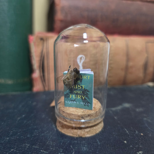 Book Bee Dome