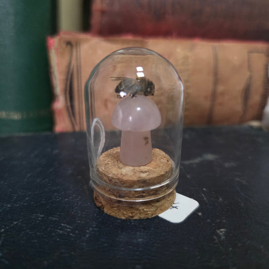 Crystal Mushroom Bee Dome