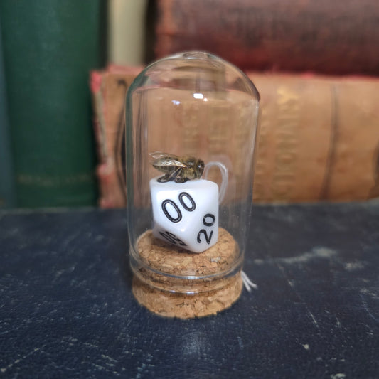 D&D Dice Bee Dome