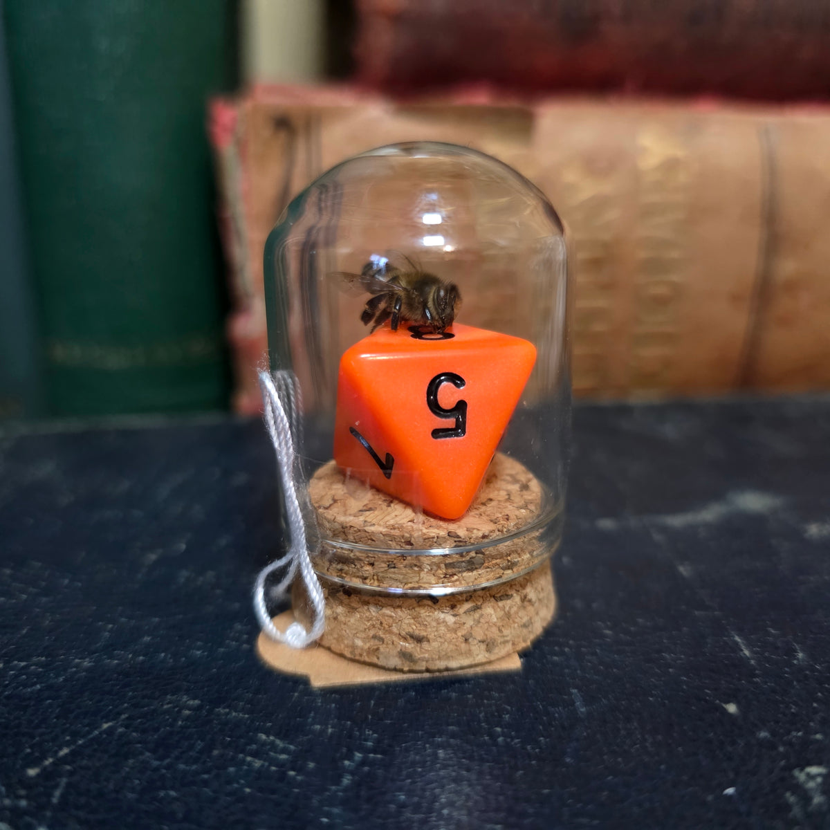 D&D Dice Bee Dome