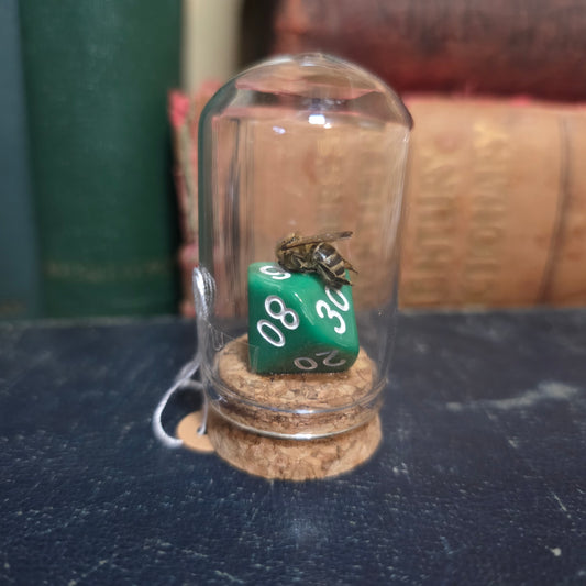 D&D Dice Bee Dome
