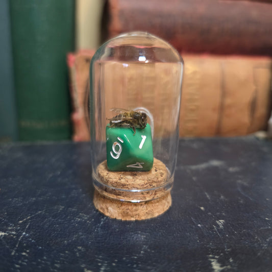 D&D Dice Bee Dome