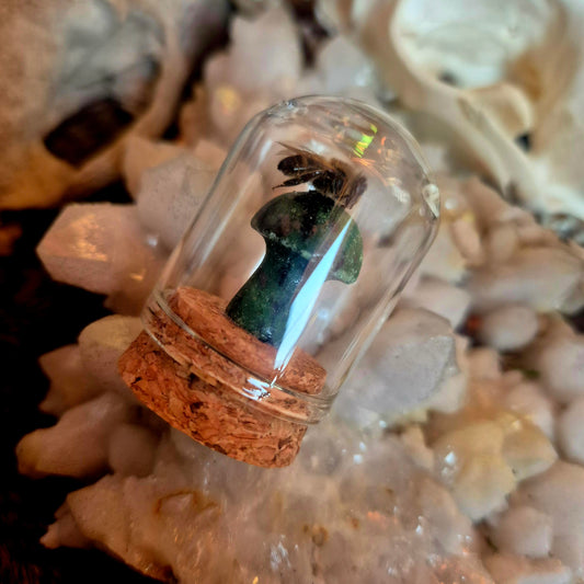 Crystal Mushroom Bee Dome