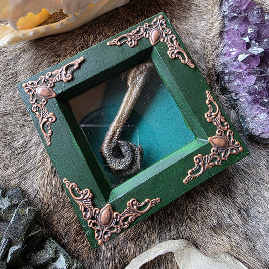 Turkey Claw Frame