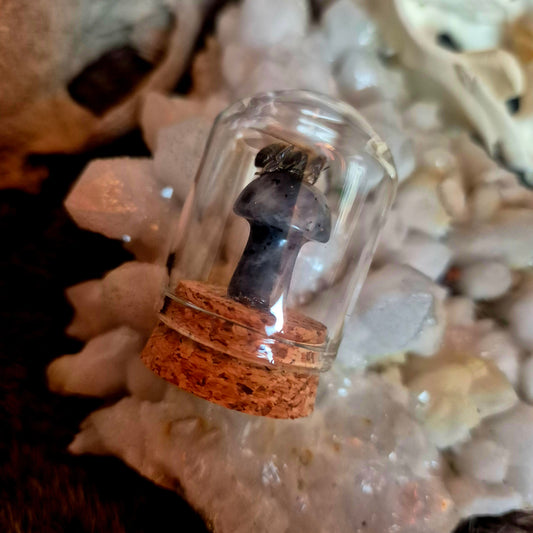 Lavakite Mushroom Bee Dome