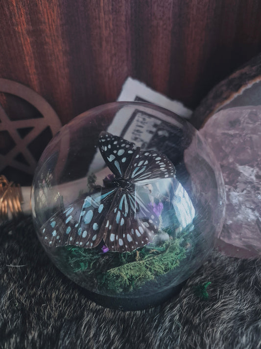 Butterfly Dome