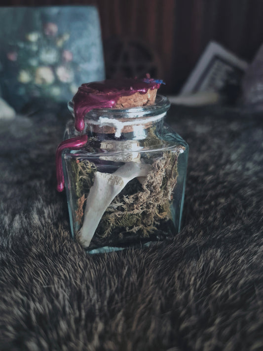 Square Curio Jar