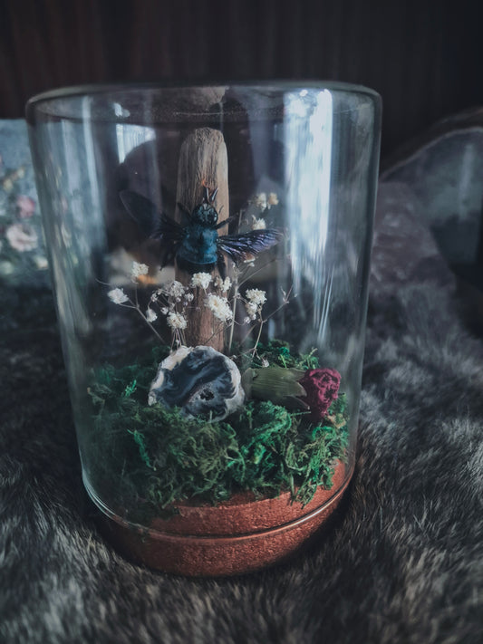 Blue Carpenter Bee Dome