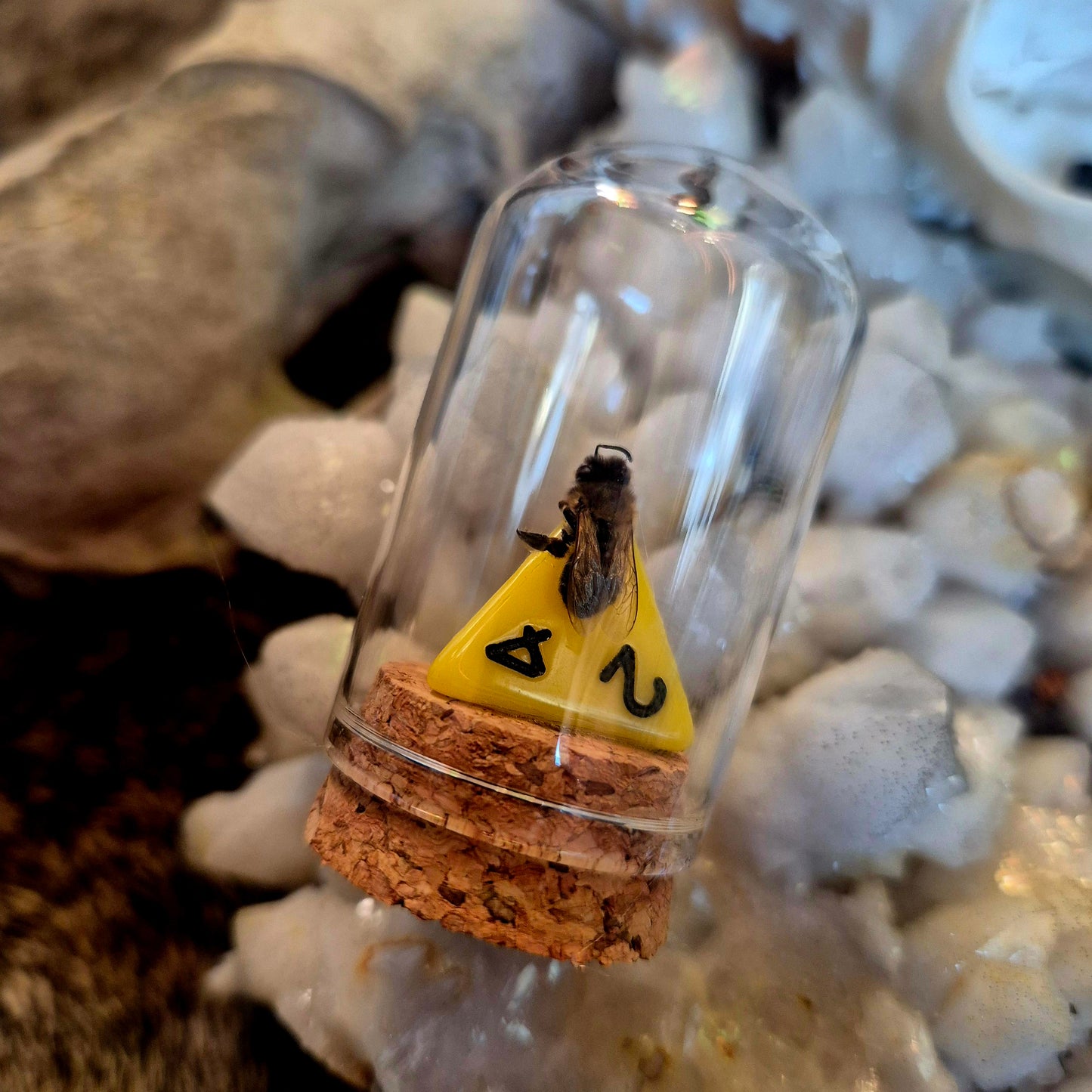 D&D Dice Bee Dome