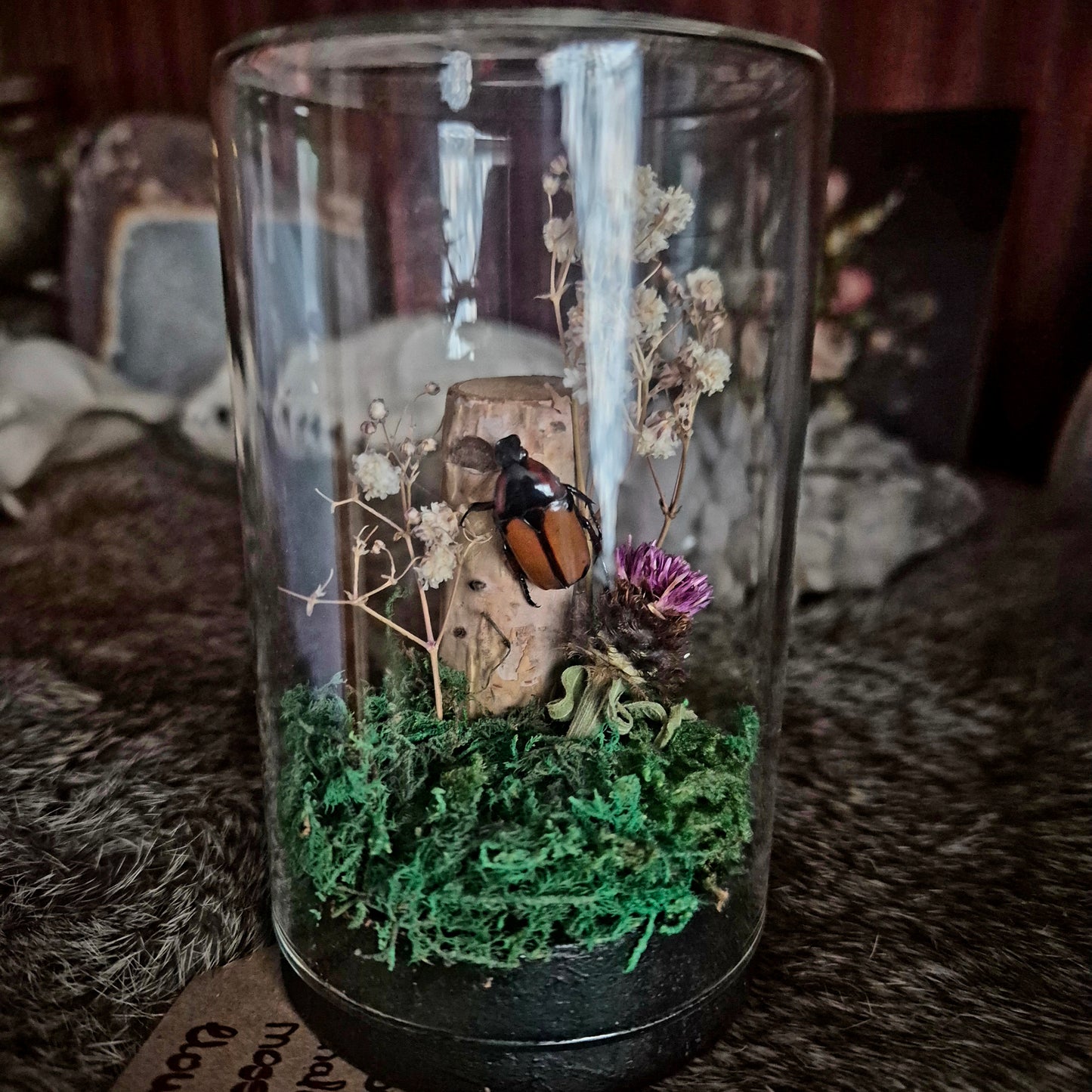 Flower Chafer Scarab Jar