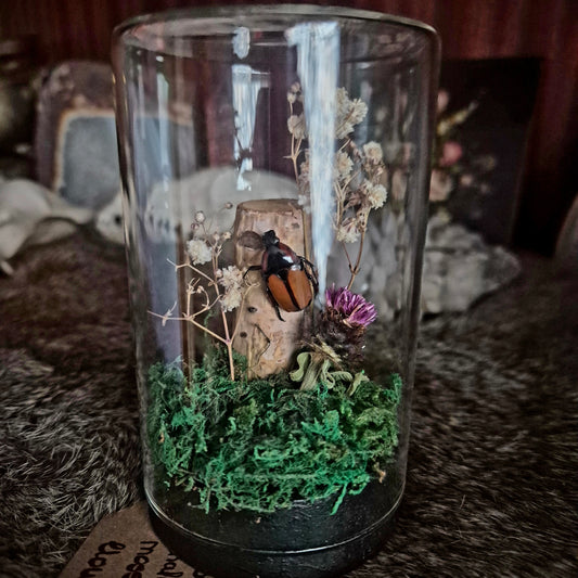 Flower Chafer Scarab Jar