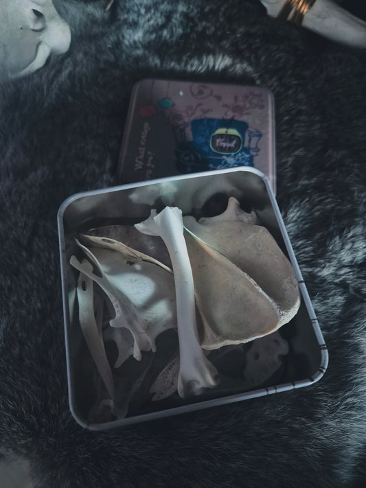 Bone Tin