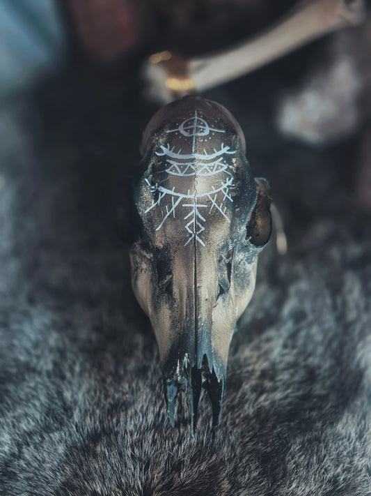 Runic Painted Deer Skull