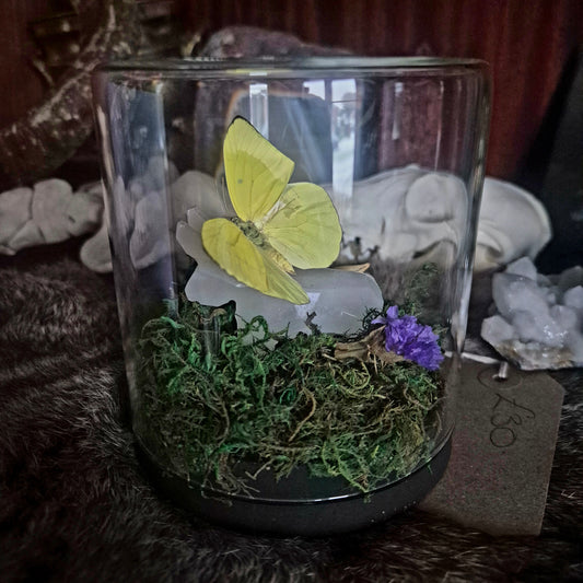 Onyx Bull and Butterfly Jar