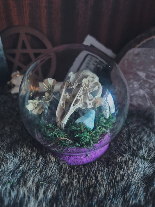 Rabbit Skull Dome
